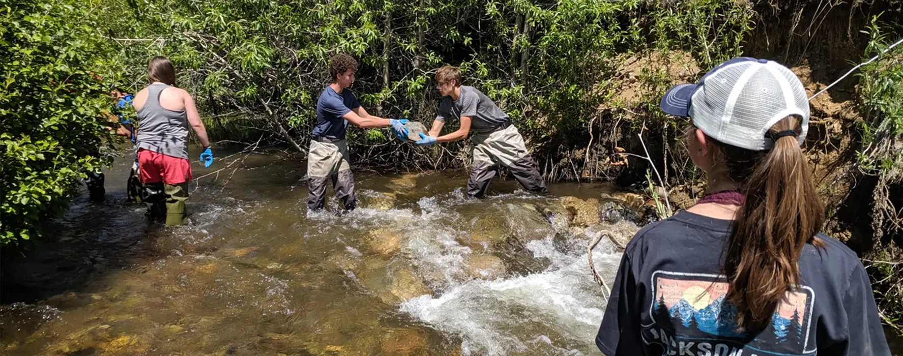 A group of 4 students standing in a river in Yellowstone National Park.